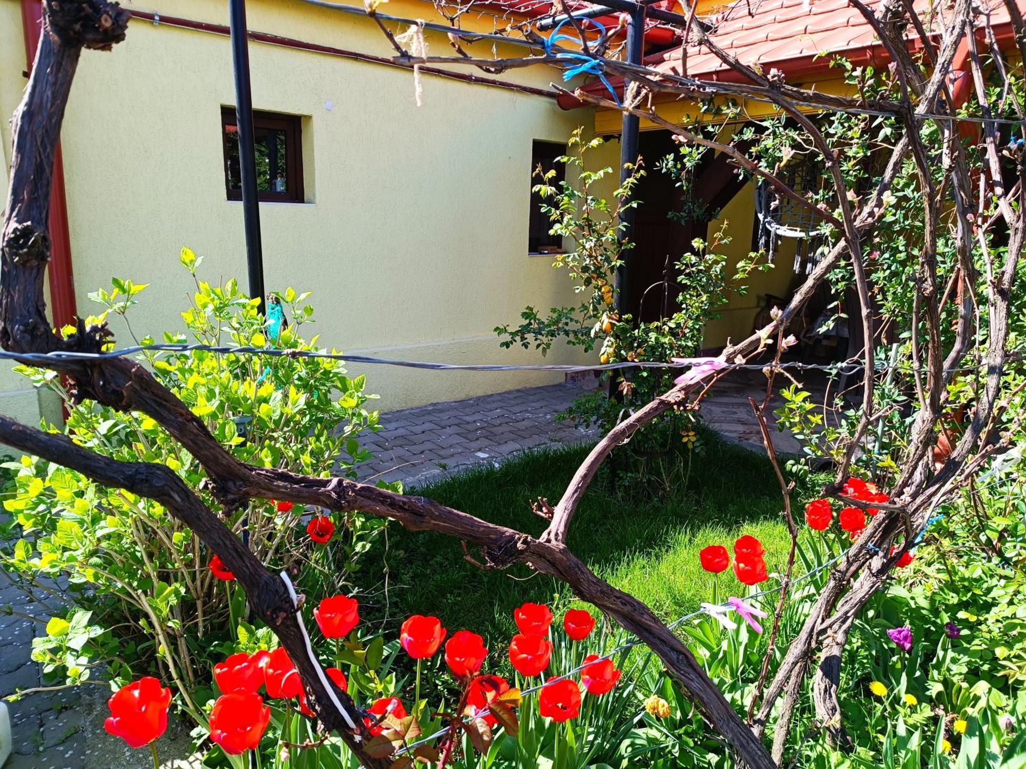 Casa Bunicilor Apartment Cisnădie Bagian luar foto