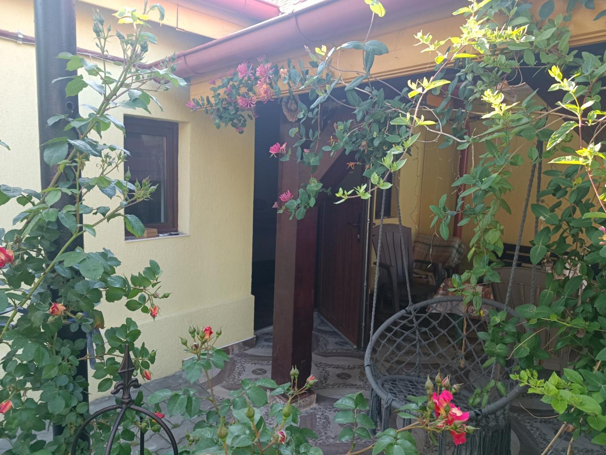Casa Bunicilor Apartment Cisnădie Bagian luar foto